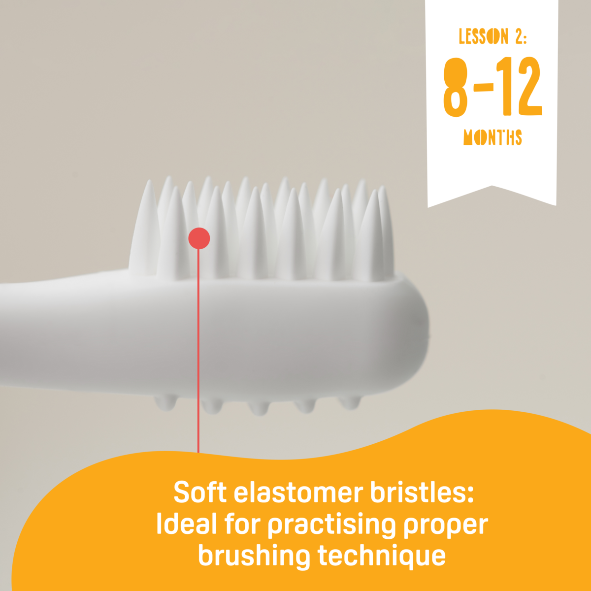 Pigeon Training Toothbrush – Lesson 2 (8–12 Months)