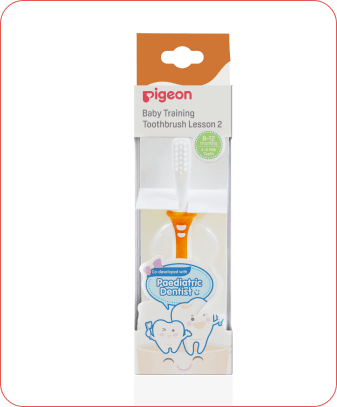 Pigeon Training Toothbrush Lesson 2 (8–12 Months) Pigeon Training Toothbrush Lesson 2 (8–12 Months)