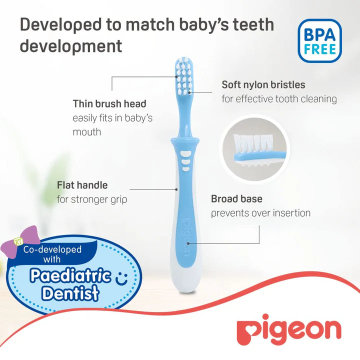 Pigeon Training Toothbrush – Lesson 3 (12–18 Months) Pigeon Training Toothbrush – Lesson 3 (12–18 Months)