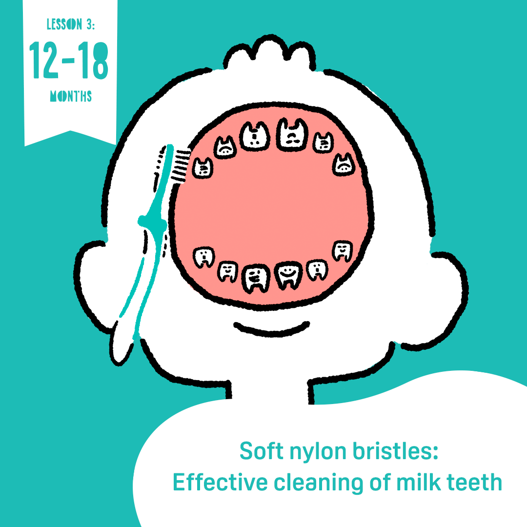 Pigeon Training Toothbrush – Lesson 3 (12–18 Months) Pigeon Training Toothbrush – Lesson 3 (12–18 Months)